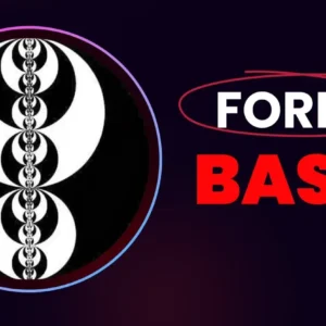 Forex Basic